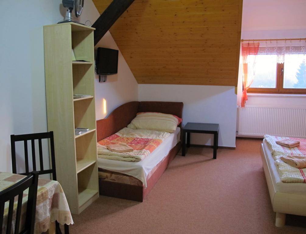 Privat Novac Apartment Nove Mesto nad Metuji Room photo